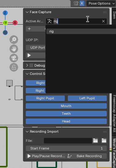 Face Capture Plugin Panel